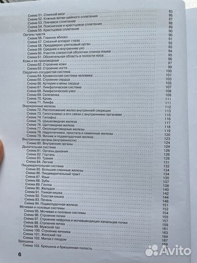 Атлас анатомии человека