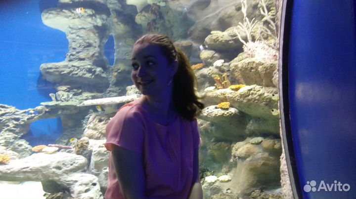 Менеджер по работе с маркетплейсами WB, Ozon