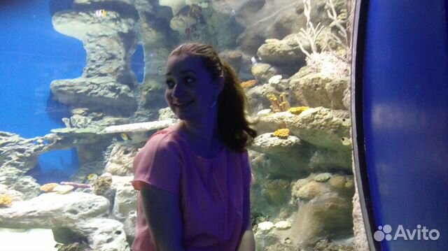 Менеджер по работе с маркетплейсами WB, Ozon