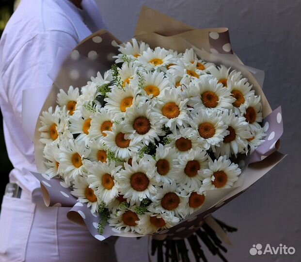 Монобукет ромашек №35
