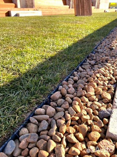 Рулонный газон