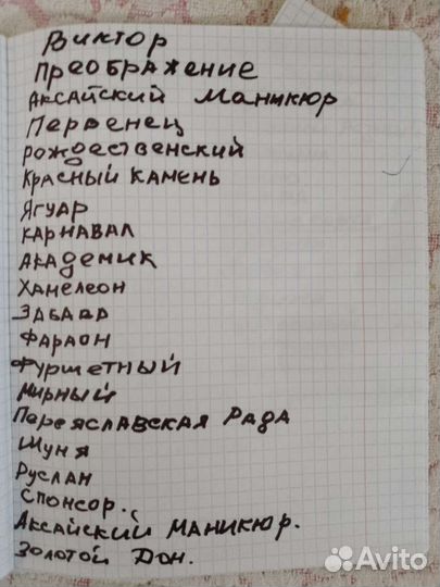 Саженцы винограда