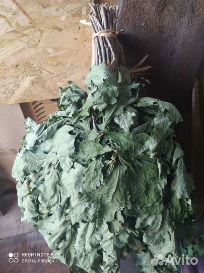 Дубовые веники для бани