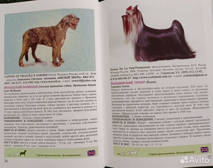 Мини-атлас пород собак