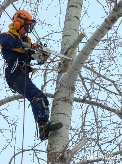 Спил-Деревьев-Расчистка участка