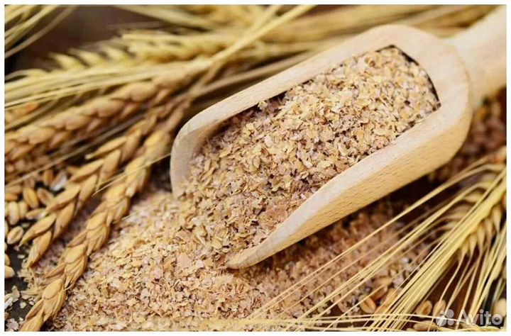 Стартовые корма для птицы