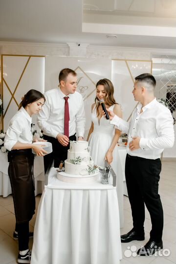 Ведущий на свадьбу, тамада