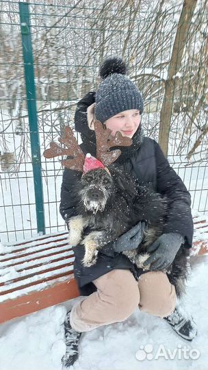 Приглашаем волонтеров в приют