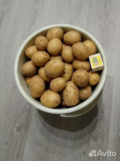 Картофель свежий