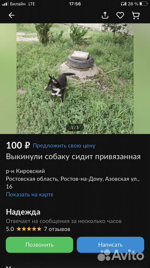 Собака в добрые руки