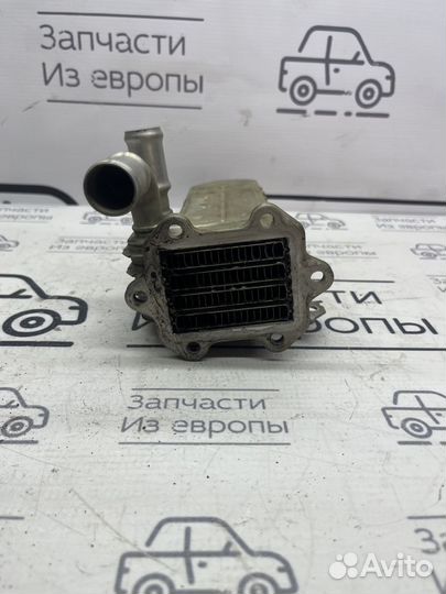 Охладитель отработанных газов Skoda Octavia (A5)