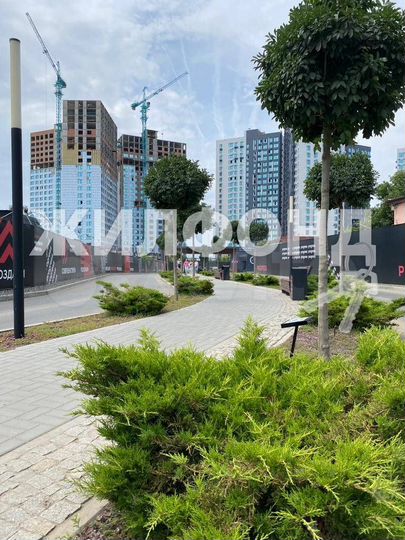 1-к. квартира, 32 м², 13/24 эт.