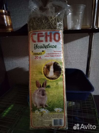 Сено, лоток, антигрызин и др