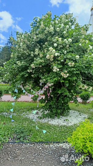 Гирлянда флажки декор для фотосессий