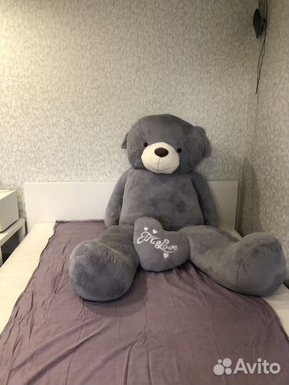 Срочномедведь большой, без зацепок и дырок