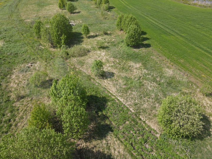 Участок 20 сот. (ИЖС)