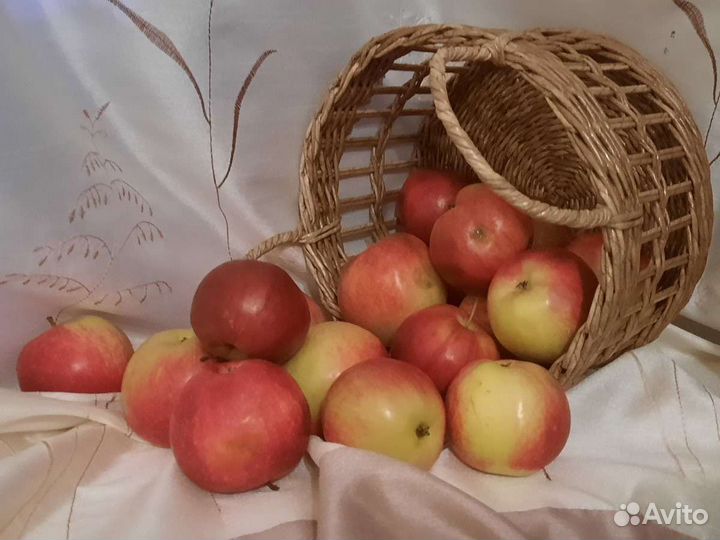 Корзина из бумажной лозы