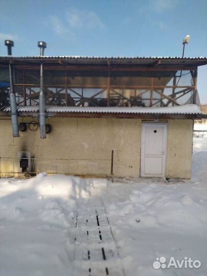 Аренда Бани с Прорубью Внутри