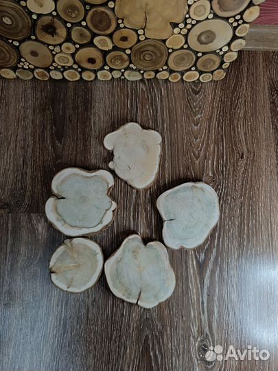 Набор спилов можжевельника для декора и творчества