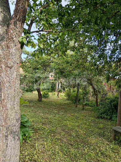 Дом 59,6 м² на участке 6,7 сот.