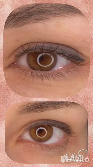 Оформление бровей и ламинирование ресниц