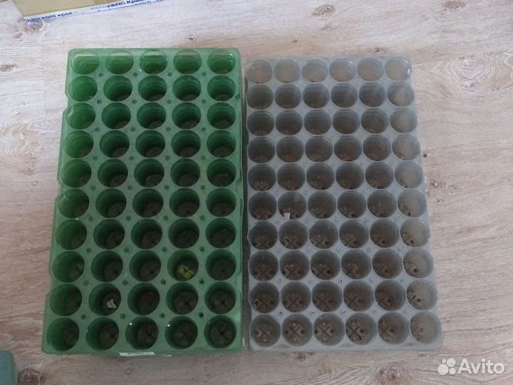 Контейнеры для рассады