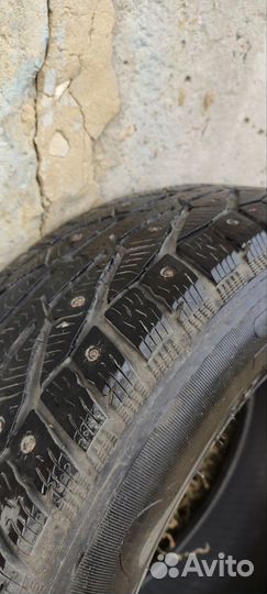 Tigar SUV Ice 215/65 R16 102T