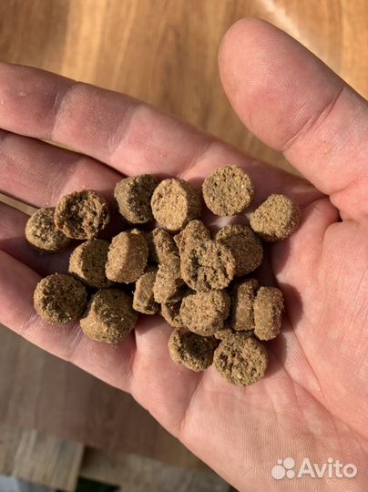 Сухой корм для собак 20 кг