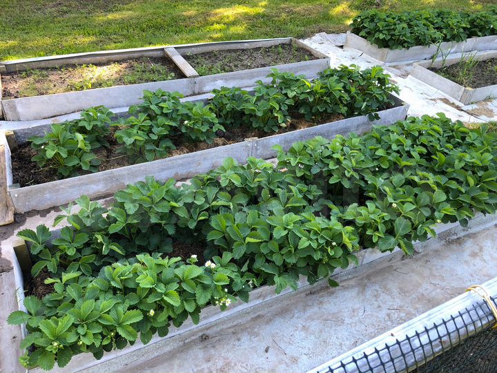 Дом 101 м² на участке 20 сот.