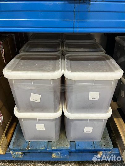 Оптом свежий гречишный мед