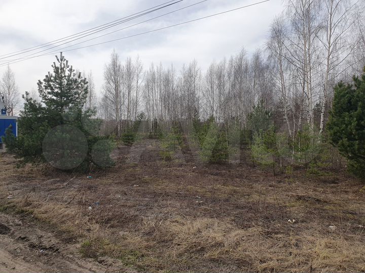 Участок 8,2 сот. (СНТ, ДНП)