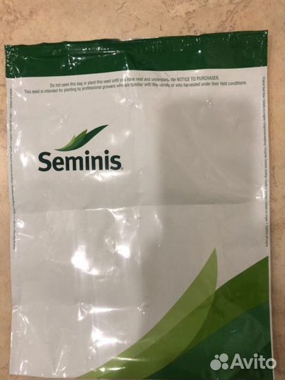 Семена салата Фриллис