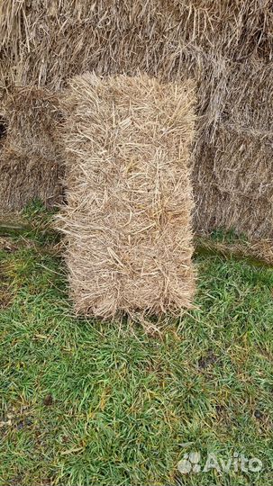 Сено в рулонах и в тюках