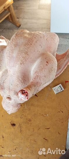 Мясо домашних индюков