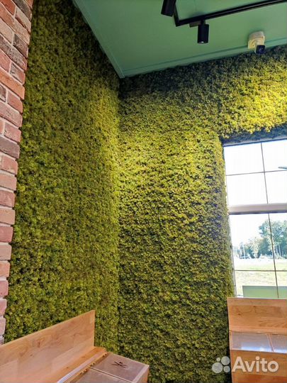 Вертикальное озеленение