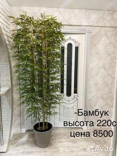 Дерево Бамбук искусственый