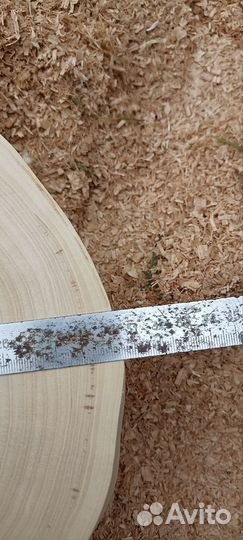 Спилы клена