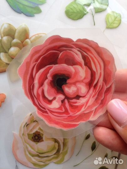 Термопереводки