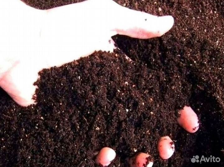 Грунт Плодородный