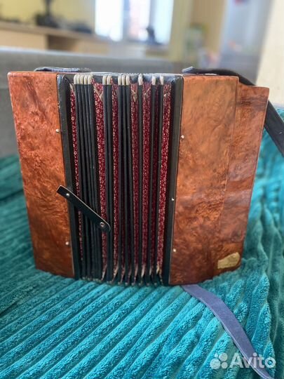 Гармонь кубань