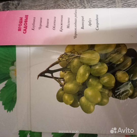 Развивающие материалы, тетради пиши- стирай