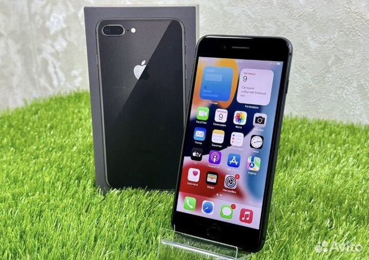 iPhone 8 Plus, 256 ГБ