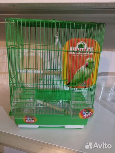 Клетки для попугаев и грызунов
