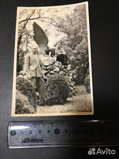 Орел скульптура парк природа курорт мужчины фото