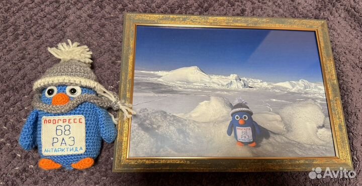 Вязаный пингвин ручной работы из Антарктиды