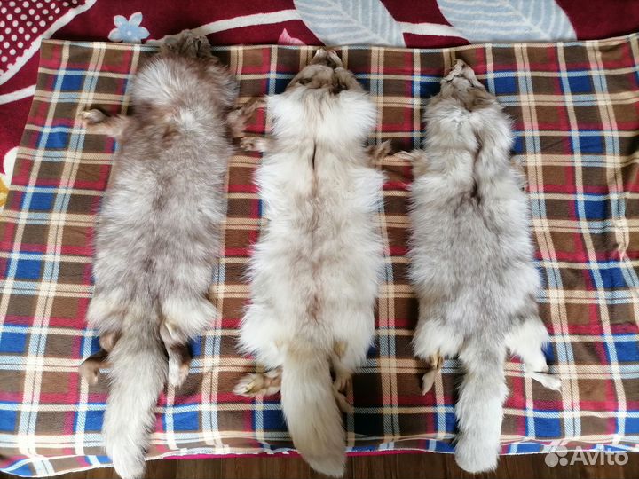 Мех