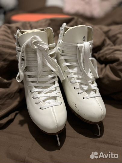 Коньки nordway Anna 37