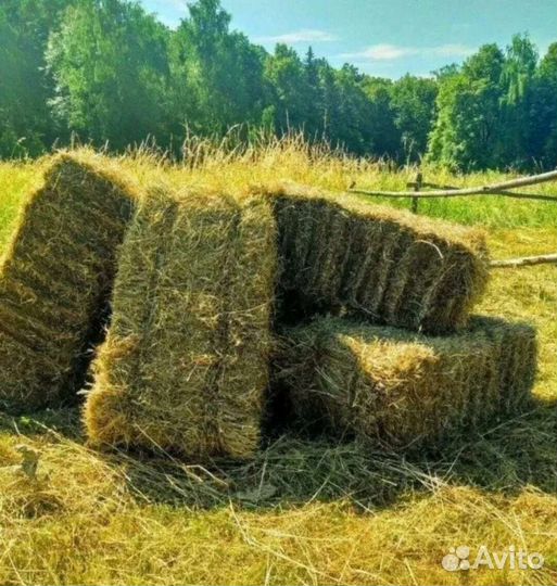Сено в кубиках