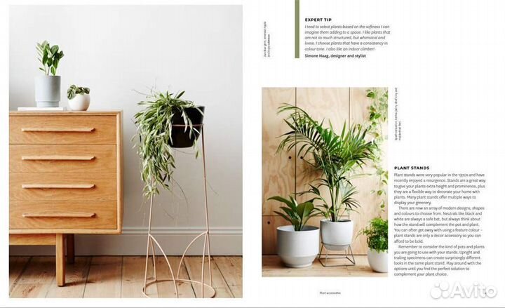 Plant Style. Озеленение интерьера