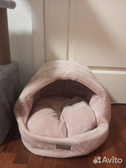 Домик-когтеточка, лежанка, влажный корм для котят